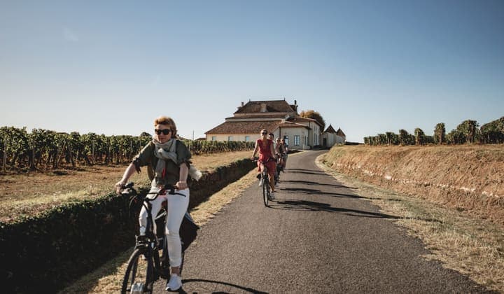 Bordeaux bio : une évolution naturelle de la viticulture