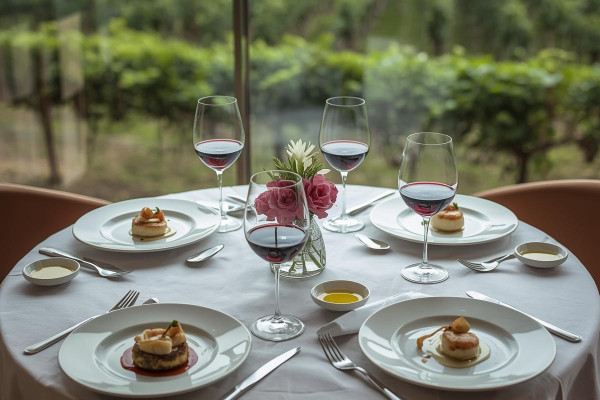 Exclusive Food and Wine Pairing Tour : official Rustic Vines tour photo