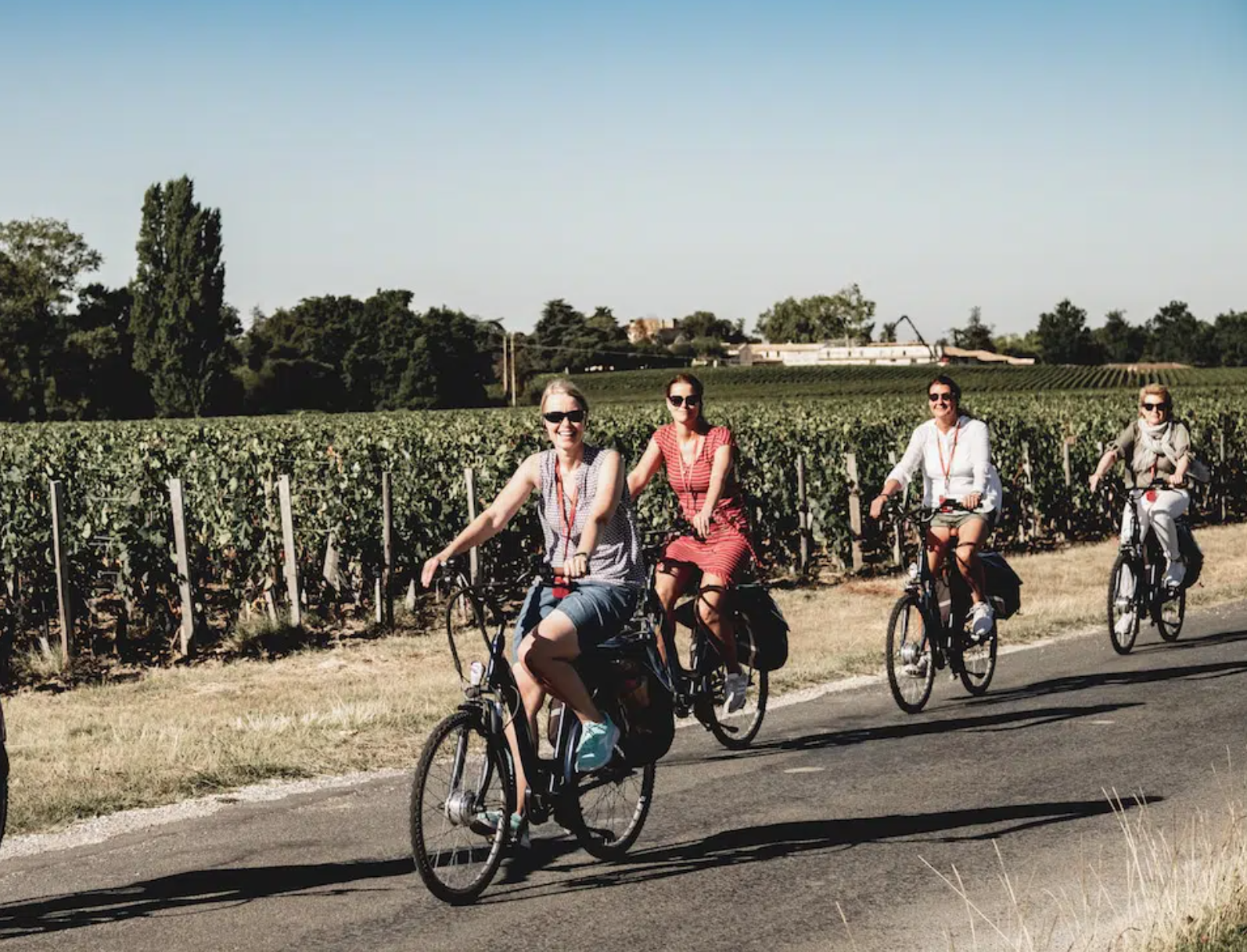 Bordeaux wine bike tours